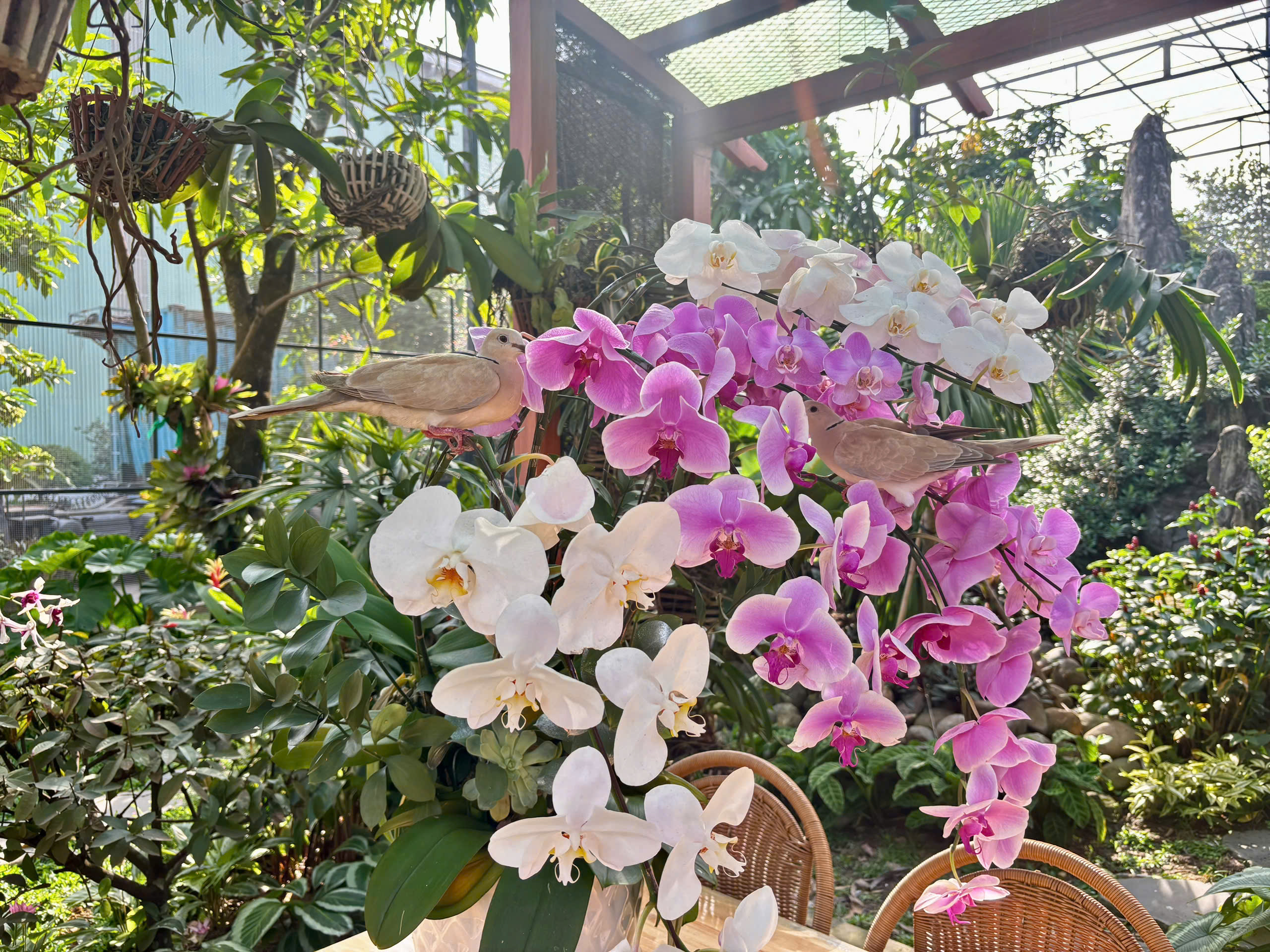 Diverse bird species and a multi-layer ecological environment inside the Aviary