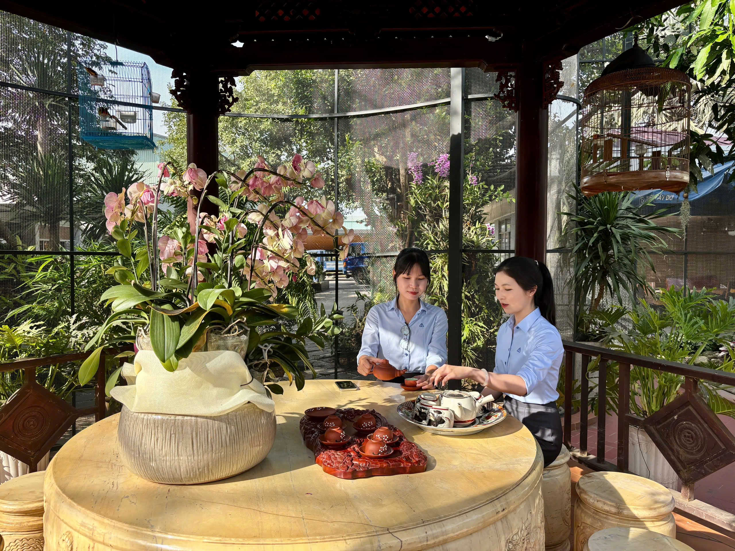 The Aviary at the Heart of the Factory – Where Nature Harmonizes with the Rhythm of Steel