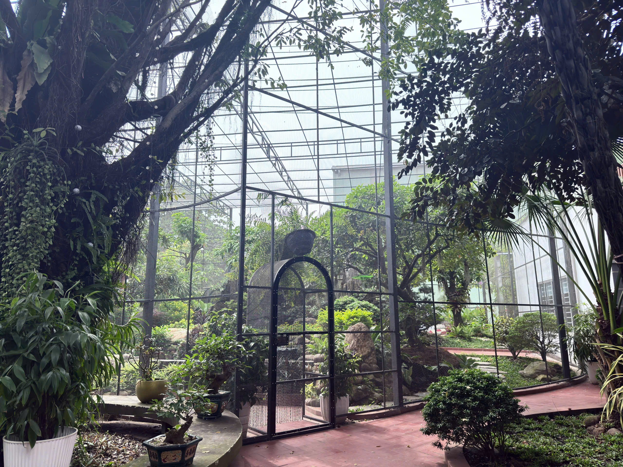 Galvanized steel frame structure and transparent polycarbonate roof in the Aviary area