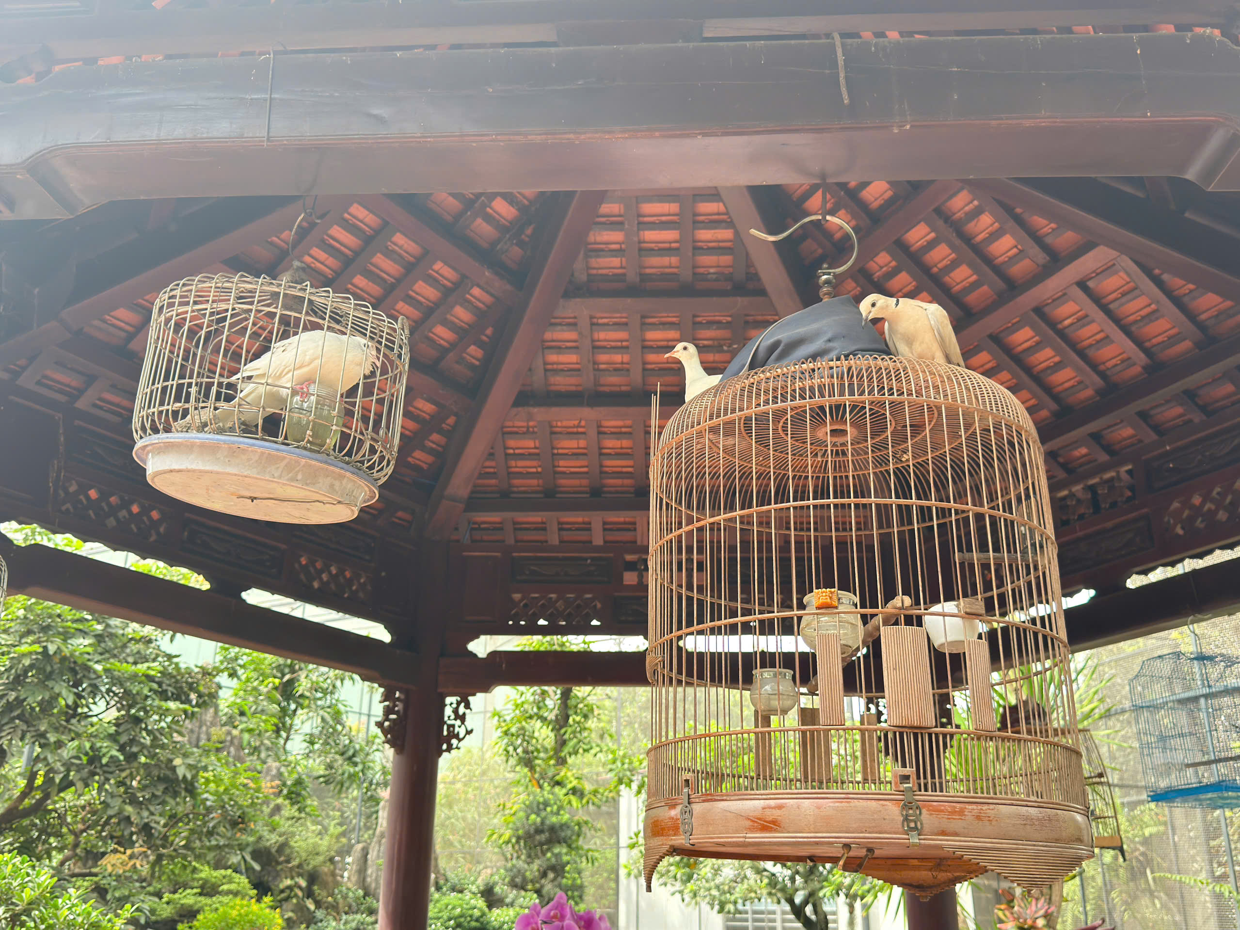 Harmoniously arranged plant system and landscape within the Aviary