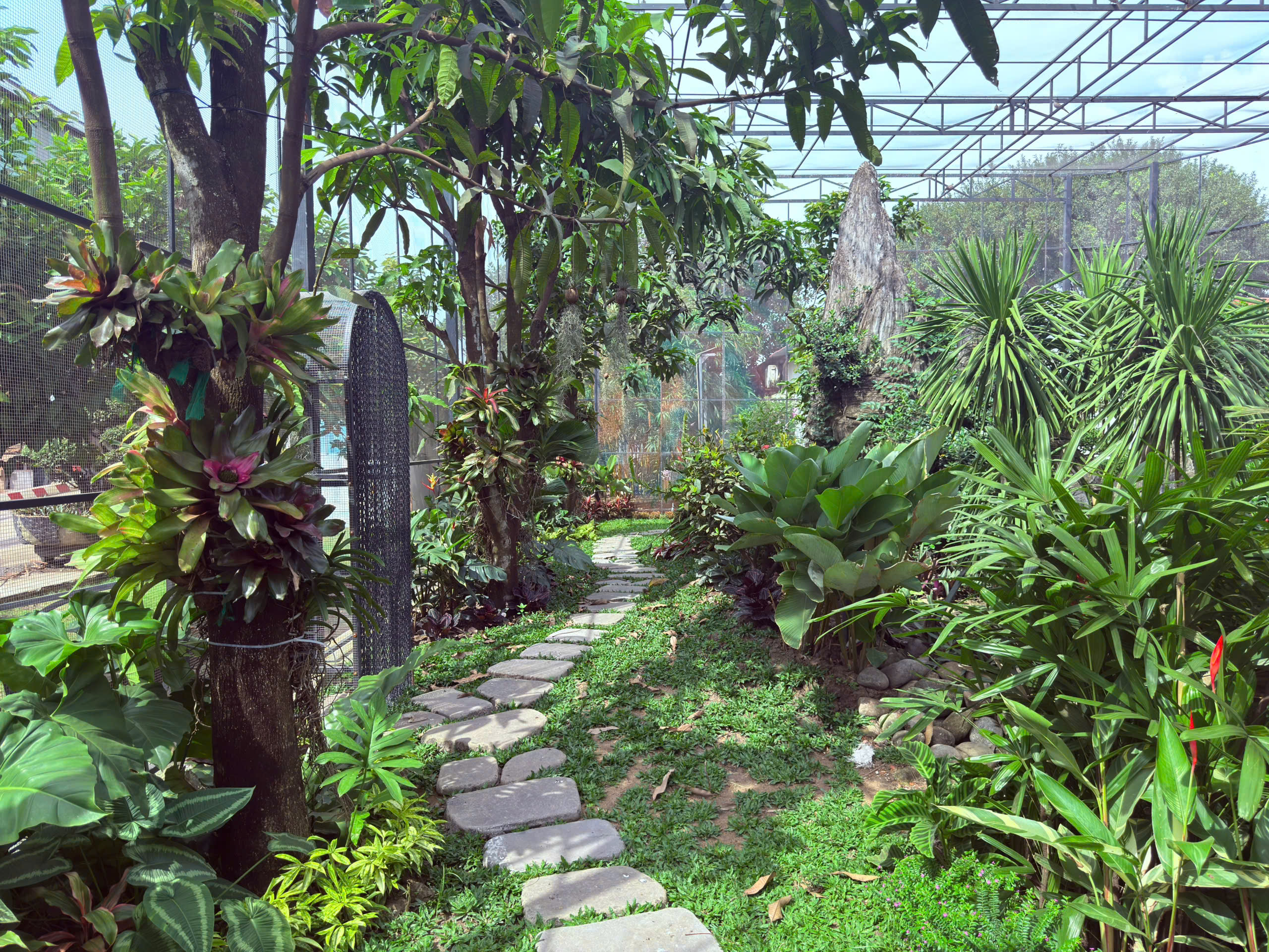 Multi-layer ecological green space inside the Aviary area