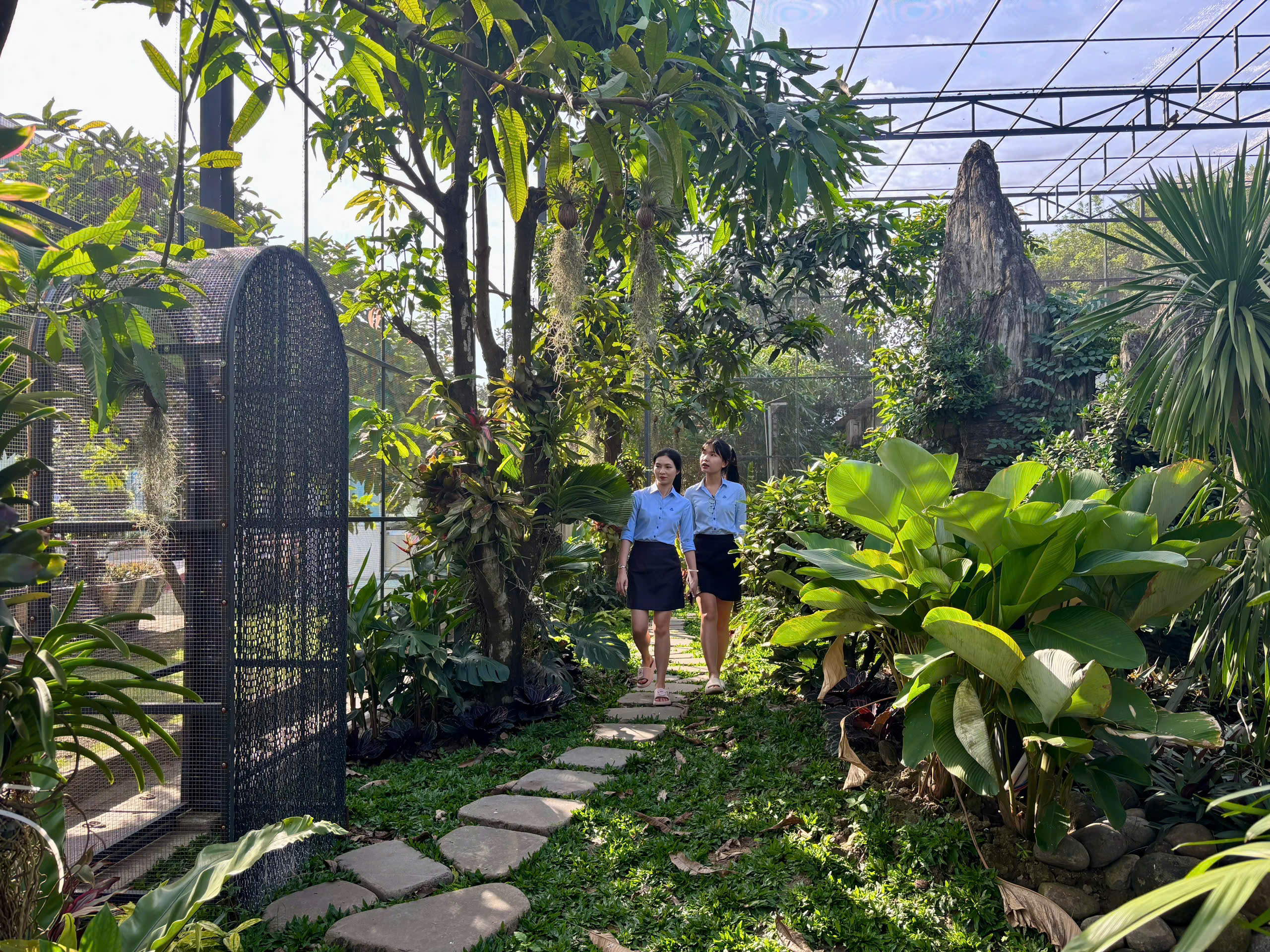 The ecological space in the Aviary contributes to nurturing Thep Tay Do’s green spirit